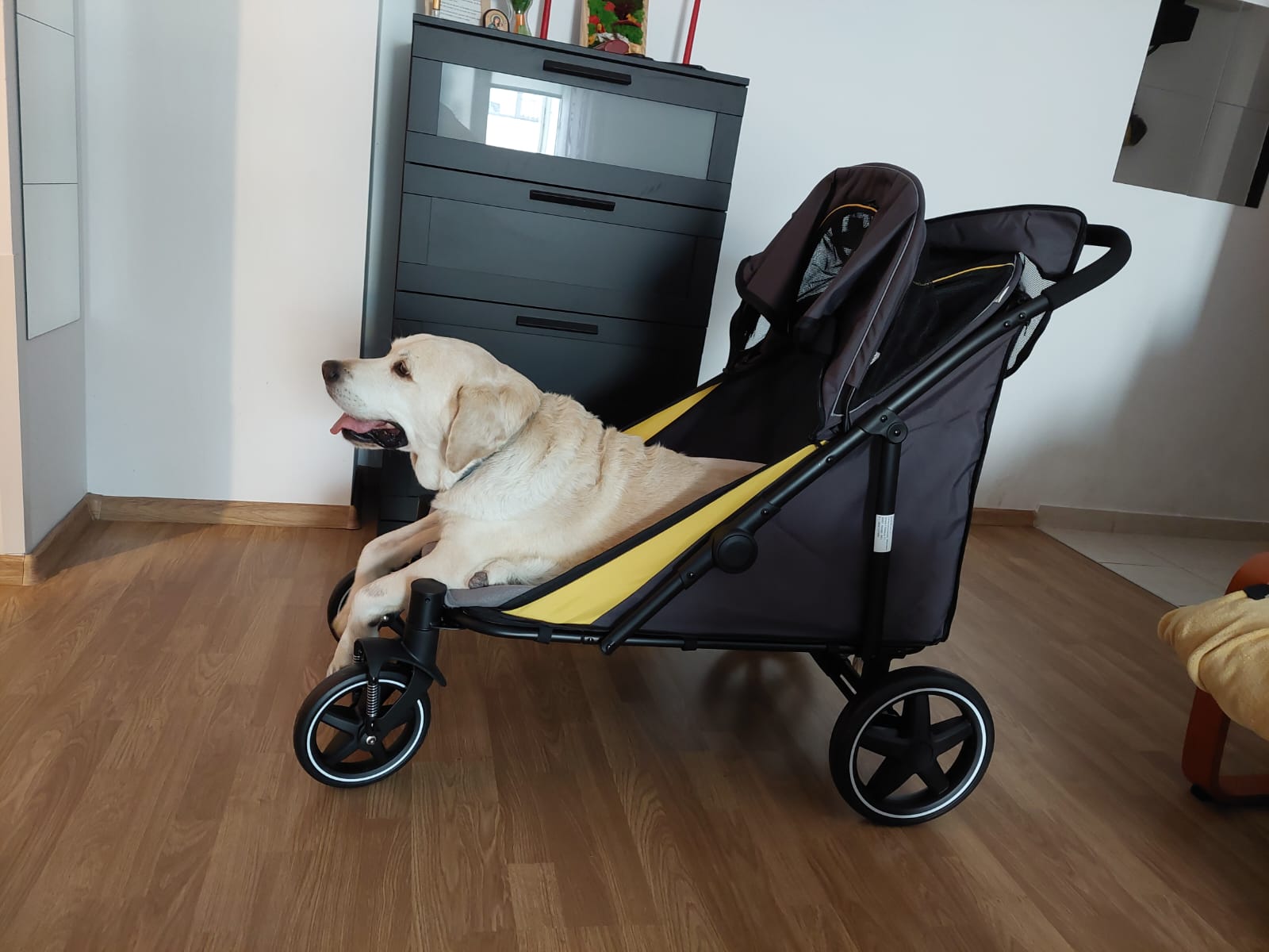 Carucior PawHut pentru animale
