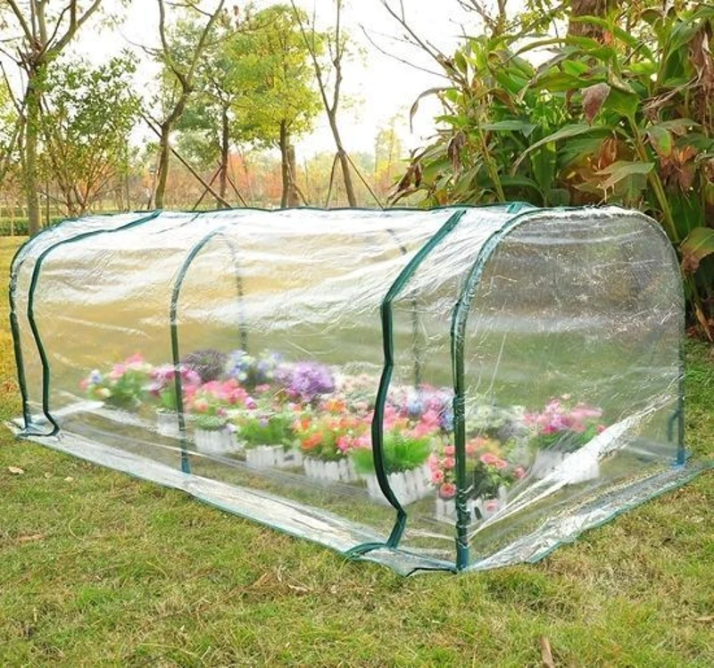 Kas kweekkas koude kas met deur plantenkas planten kweken staal PVC