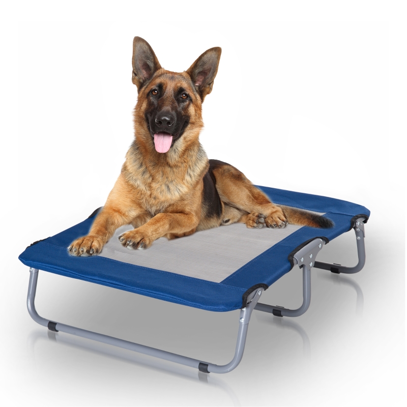 PawHut Foldable Elevated Pet Dog Puppy Bed Portable Camping Raised Mesh