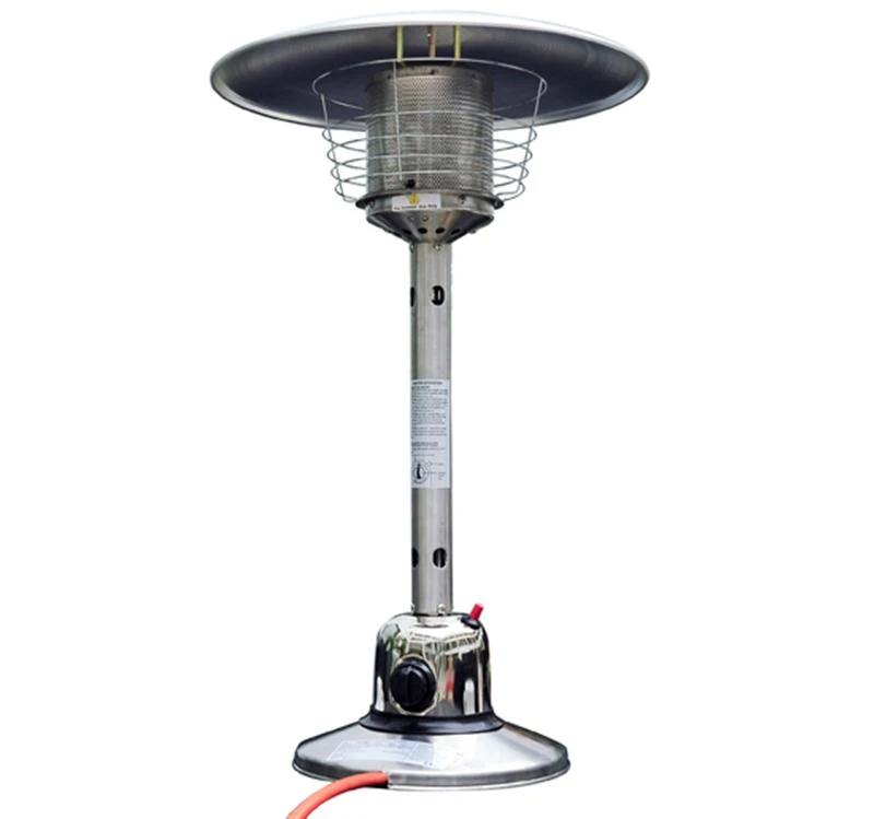 HOMCOM Outdoor Stainless Steel Gas Heater