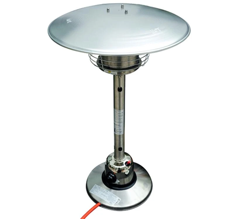 HOMCOM Outdoor Stainless Steel Gas Heater