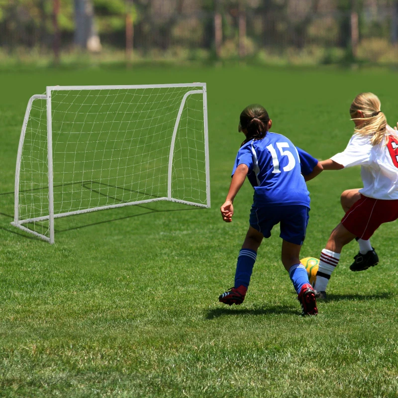 HOMCOM PE Net Weather Resistant Rebounder Sports Goal White