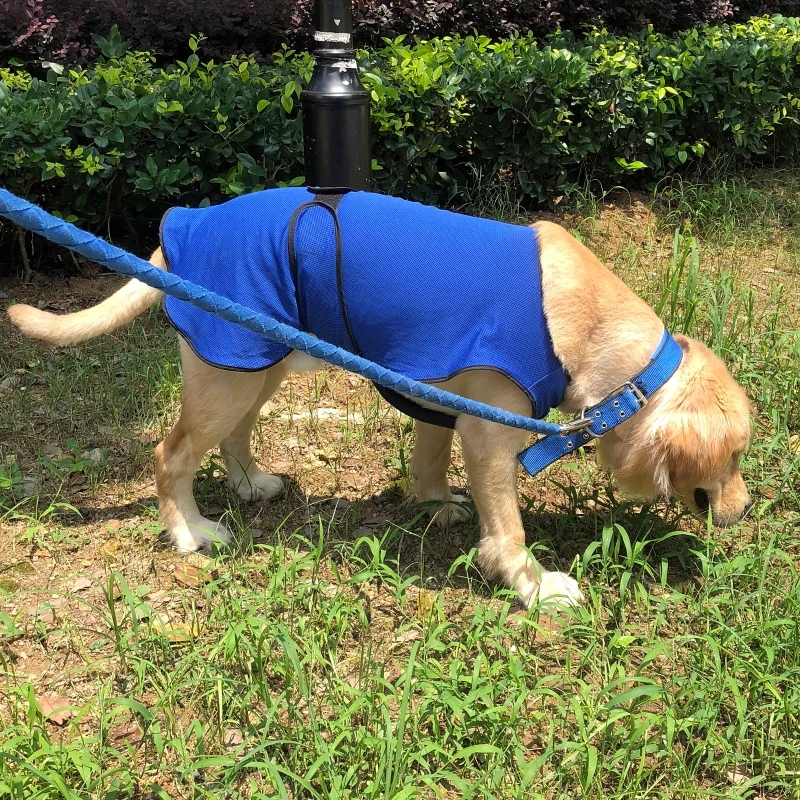 PawHut Hondenkoelvest koelvest verkoelend vest voor honden koelvest snelle koeling