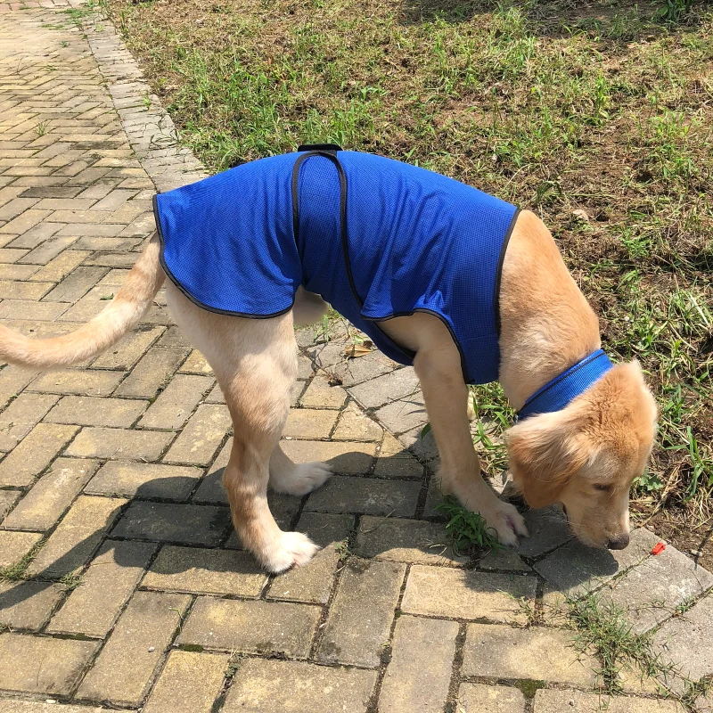 PawHut Hondenkoelvest koelvest verkoelend vest voor honden koelvest snelle koeling