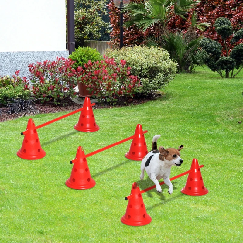 PawHut TOR PRZESZKÓD DLA PSA AGILITY 6 PACHOŁKÓW + 3 DRĄŻKI  30CM czerwony