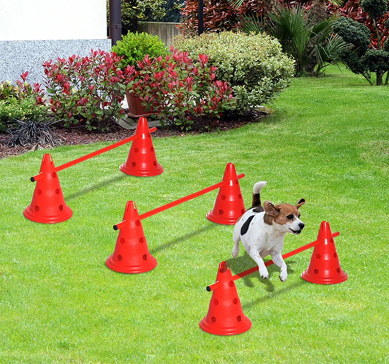 PawHut TOR PRZESZKÓD DLA PSA AGILITY 6 PACHOŁKÓW + 3 DRĄŻKI  30CM czerwony