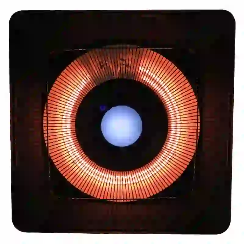 Outsunny Terrasverwarmer plafondverwarmer met LED-verlichting afstandsbediening 2000 W