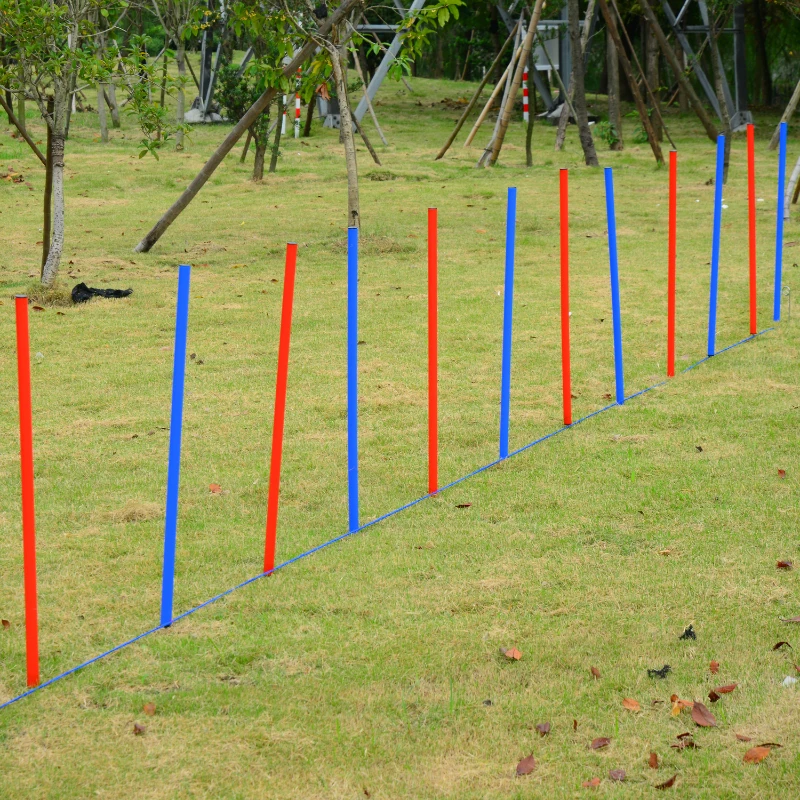 Pawhut Pet Agility Training Run/Jump Set