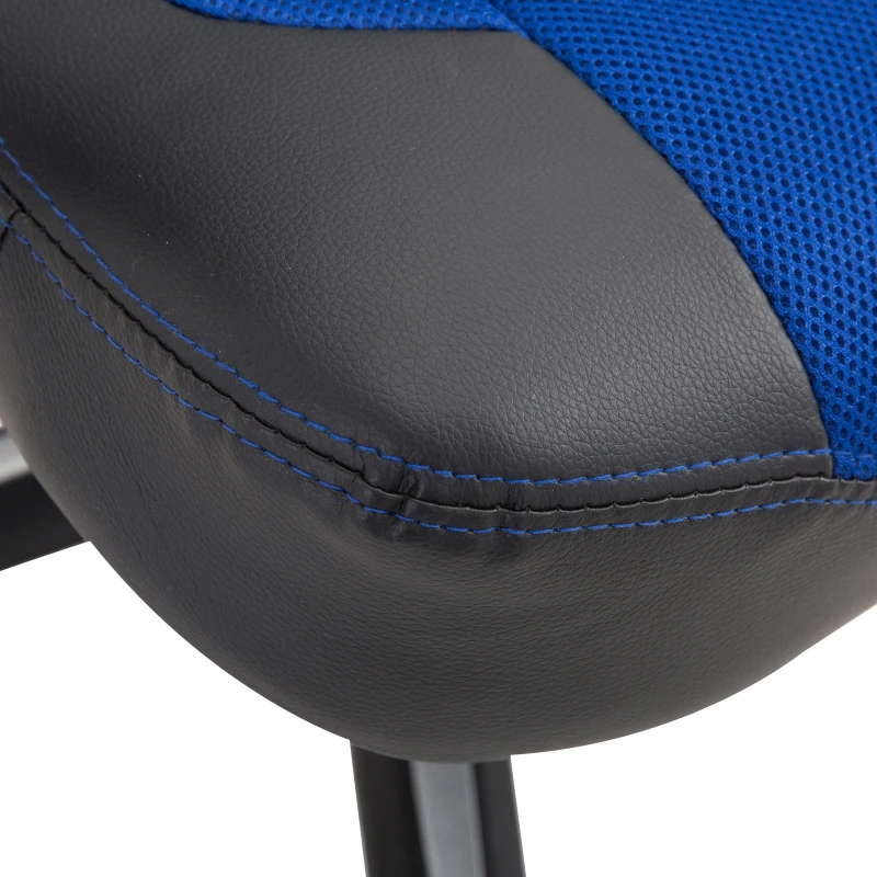 HomCom® Silla de Oficina Gaming con 6 Puntos de Masaje y Calefacción 2 Almohadas con Mando a Distancia 68x69x108-117cm Negro y Azul