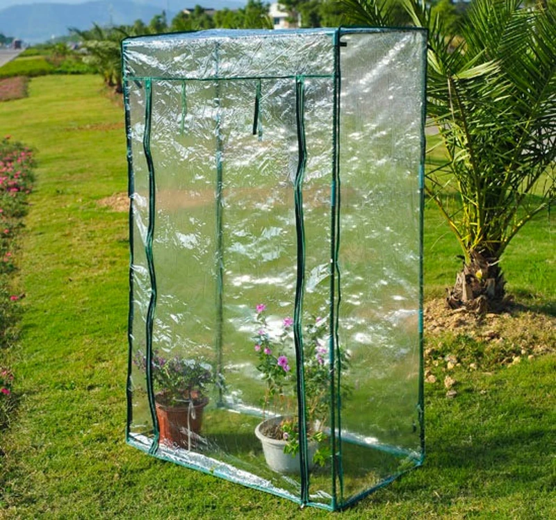 Invernadero Caseta JardinTomates Tienda Armario Cultivo Tomates 100x50x150 cm