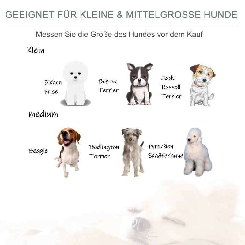 Sofa dla zwierząt domowych Sofa dla psa Sofa dla kota holenderski aksamit nowoczesna jasnozielona