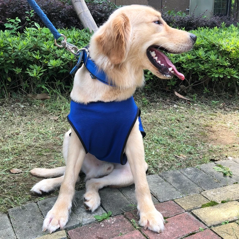 Kamizelka chłodząca dla psa Kamizelka chłodząca Kurtka chłodząca dla psów szybkie chłodzenie