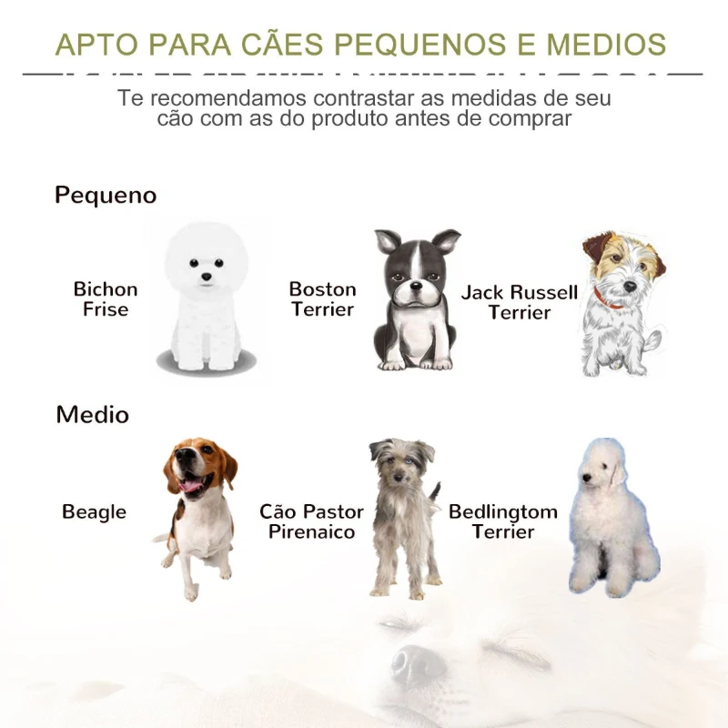 PawHut Sofá-cama para cães pequenos Gatos com almofada removível acolchoada com bordas levantadas base de metal 64x40x24 cm Turquesa