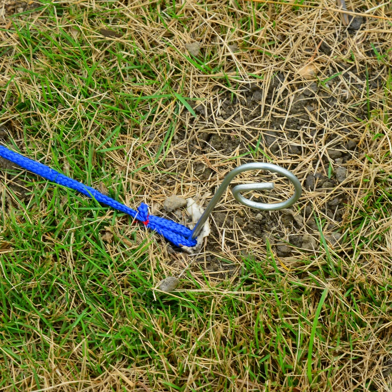 Kit de Treino Cães Agilidade Salto Polo Túnel Equipamento Azul Vermelho NUE