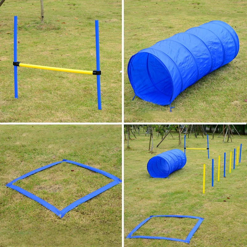 PawHut Kit Treino Agility Agilidade Cães Salto Túnel e Slalom Azul Amarelo