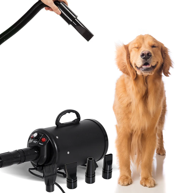 PawHut Secador de Cabelo para Cão de Estimação Gato Profissional Secador de Cabelo Aquecedor 2400 W Tubo Flexível Silencioso 4 Boquilhas