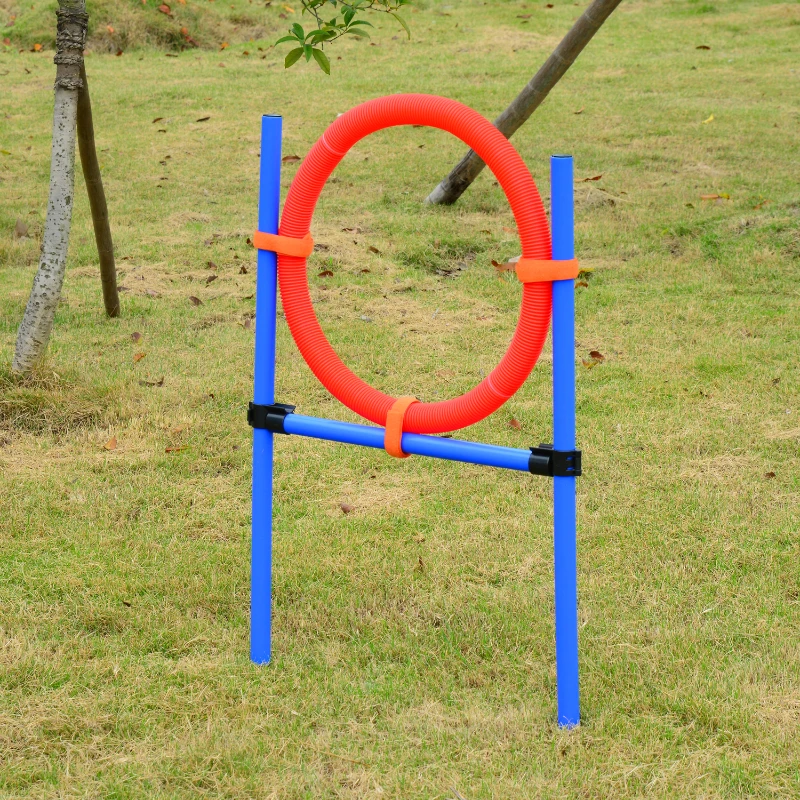 Kit de Treino Cães Agilidade Salto Polo Túnel Equipamento Azul Vermelho NUE