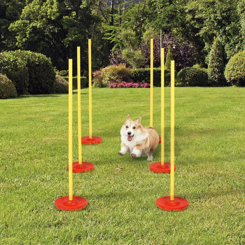 PawHut Agility sport pour chien slalom - slalom pour chien - lot de 6 poteaux + pied à lester - sac de transport inclus jaune