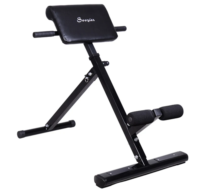 HOMCOM Appareil d'Entraînement Musculation Fitness Dos Reins Fessiers Muscles Abdominaux
