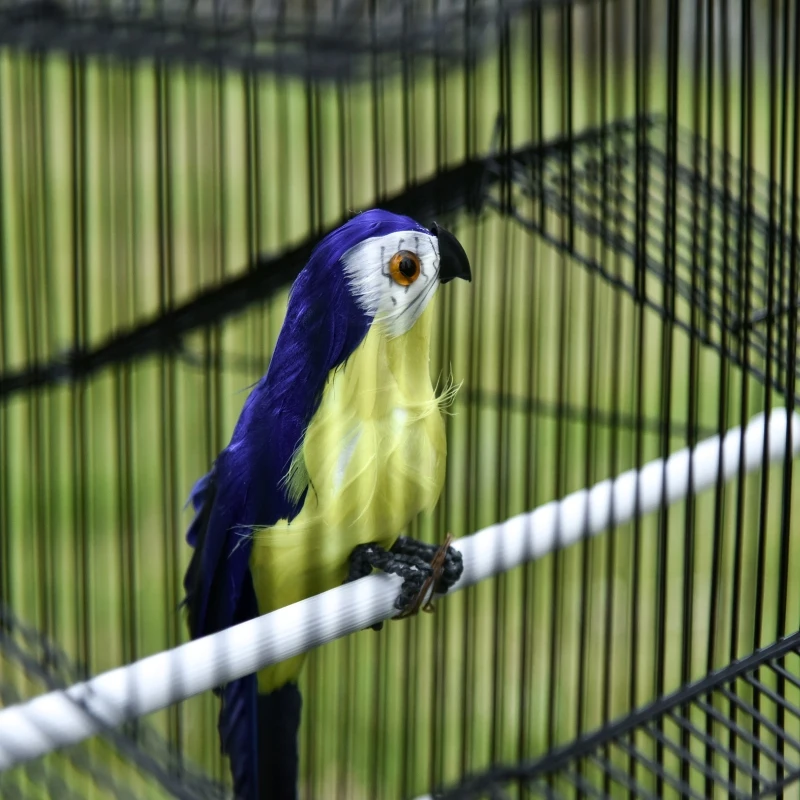 PawHut Cage à oiseaux design maison mangeoires perchoirs 3 portes plateau excrément amovible + poignée transport 51 x 40 x 67 cm noir