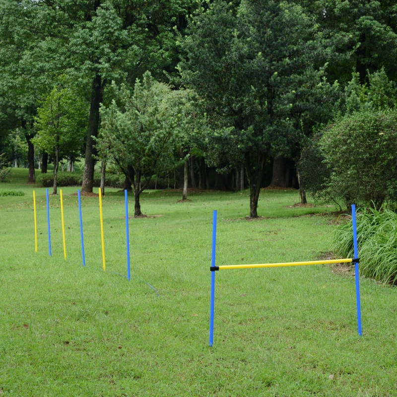 PawHut Metal/Plastic 13 Pole Dogs Agility Training Set Multi-Colour