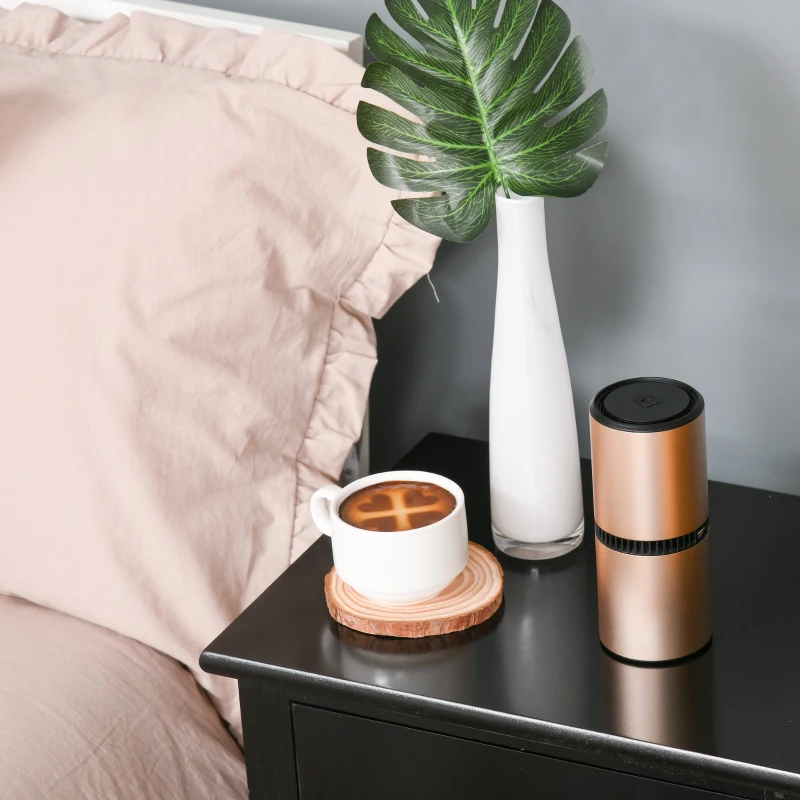 HOMCOM Portable Car Air Purifier, Low Noise Air Cleaner with 2 USB Port for Dust, Pollen, Smoke, Odor, Gold