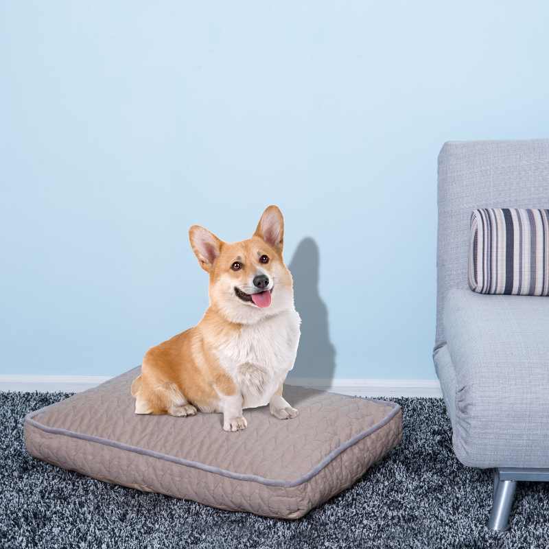 Pawhut Pet Cushion Bed W/Zipped Cover, 75Lx50Wx11H cm-Light Brown
