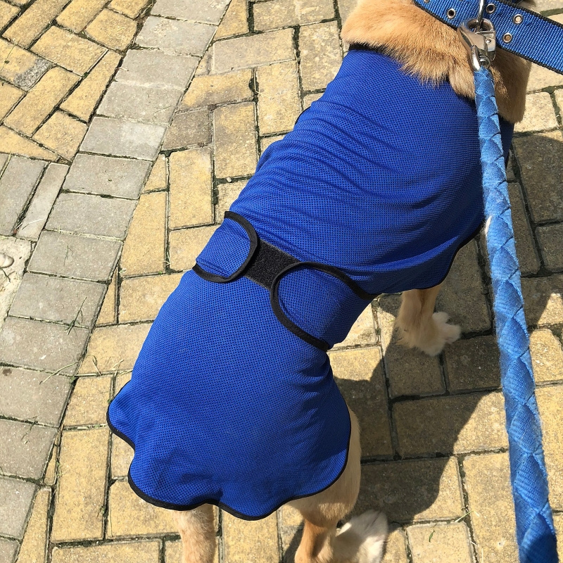 PawHut Dog Cooling Coat, Adjustable Size, Back Length 50 cm, Polyester-Blue