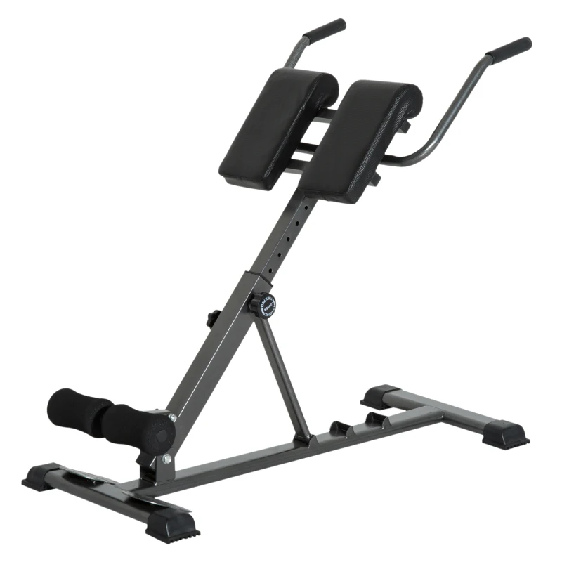 HOMCOM Roman Chair W/Hyperextension Back-Black