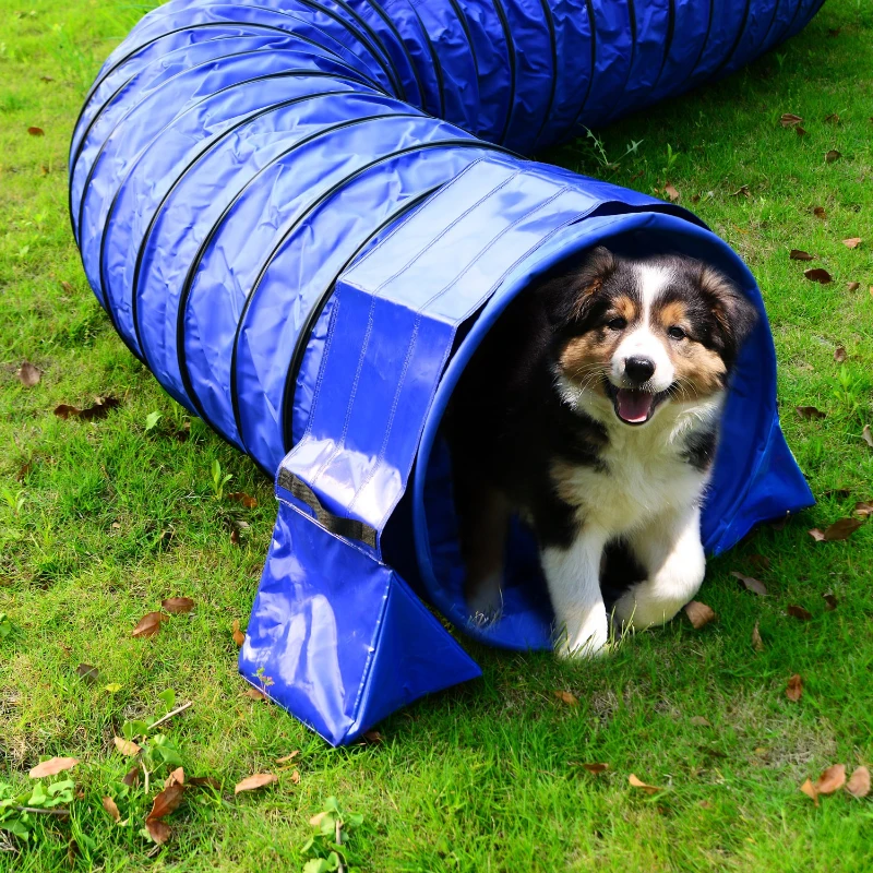 Pawhut Dog Agility Exercise Training Tunnel Sand Bags-Blue