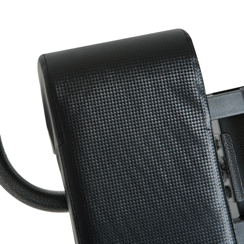 HOMCOM Roman Chair W/Hyperextension Back-Black