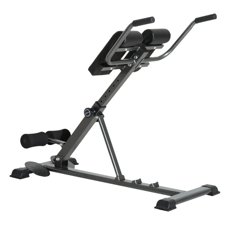 HOMCOM Roman Chair W/Hyperextension Back-Black