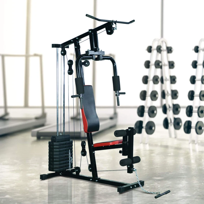 HOMCOM Panca per Allenamento Casa Palestra Multifunzione Professionale Addominali Gambe Pettorali in Acciaio Nero 125x106x205cm