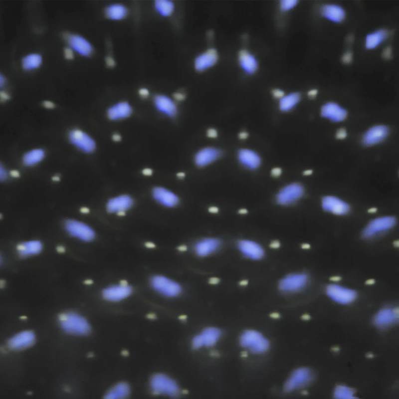 HOMCOM Proiettore LED Luci a LED a 4 Colori: Rosso, Verde, Blu e Bianco in Qualsiasi Combinazione Livello Impermeabilità IP44 ABS Nero 2W Lunghezza Cavo:3m 15.2×17.5×41.5cm