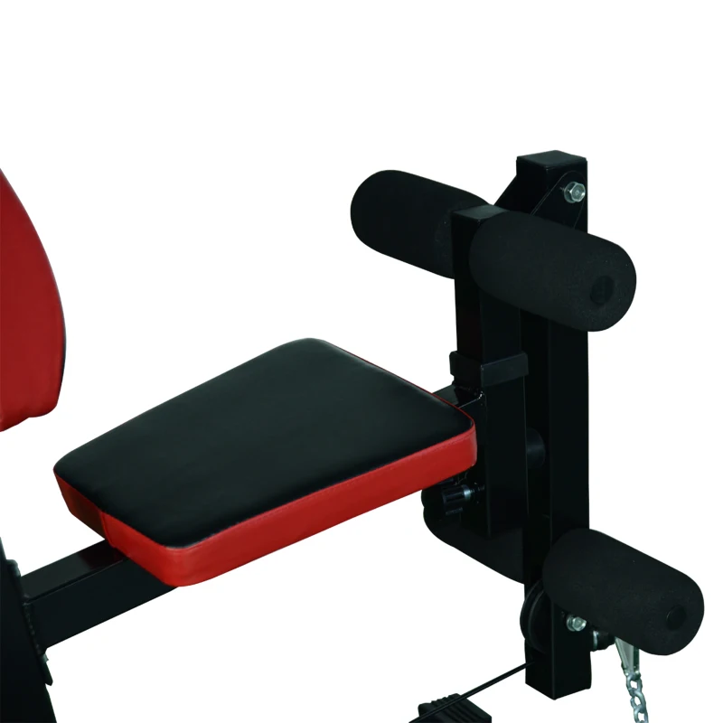 HOMCOM Panca per Allenamento Casa Palestra Multifunzione Professionale Addominali Gambe Pettorali in Acciaio Nero 125x106x205cm