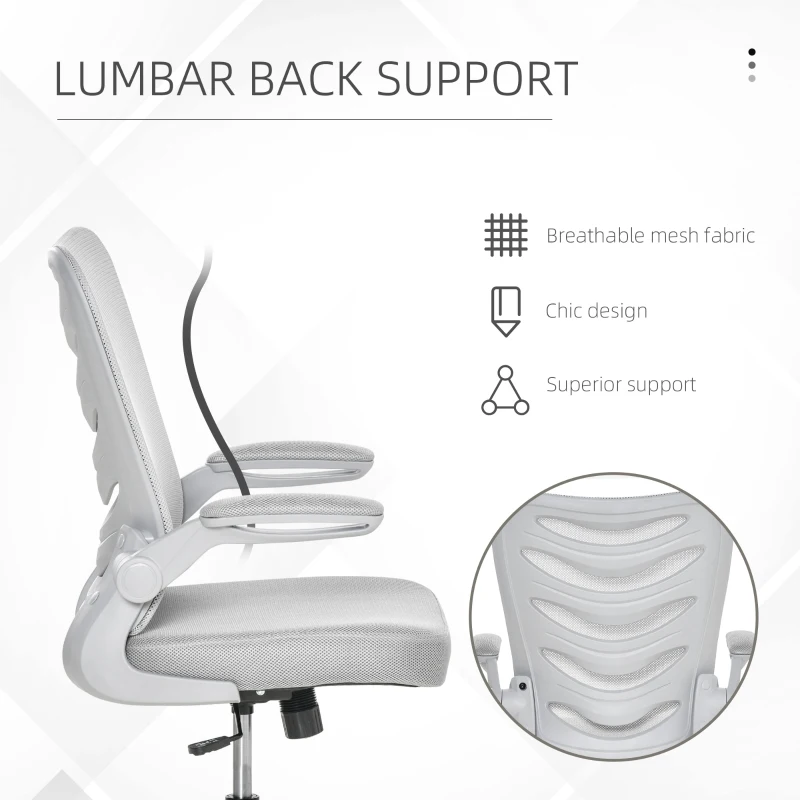 Vinsetto Scaun de Birou Pivotant Inaltime Reglabila Brate care Se Ridica Gri