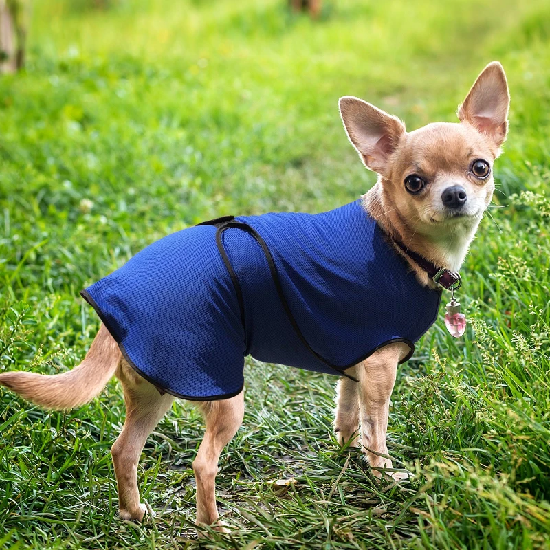 PawHut® hondenkoelvest koelvest koelvest voor honden koeljack snel verkoelend polyester blauw Ø 40 x 46 cm | Aosom.nl