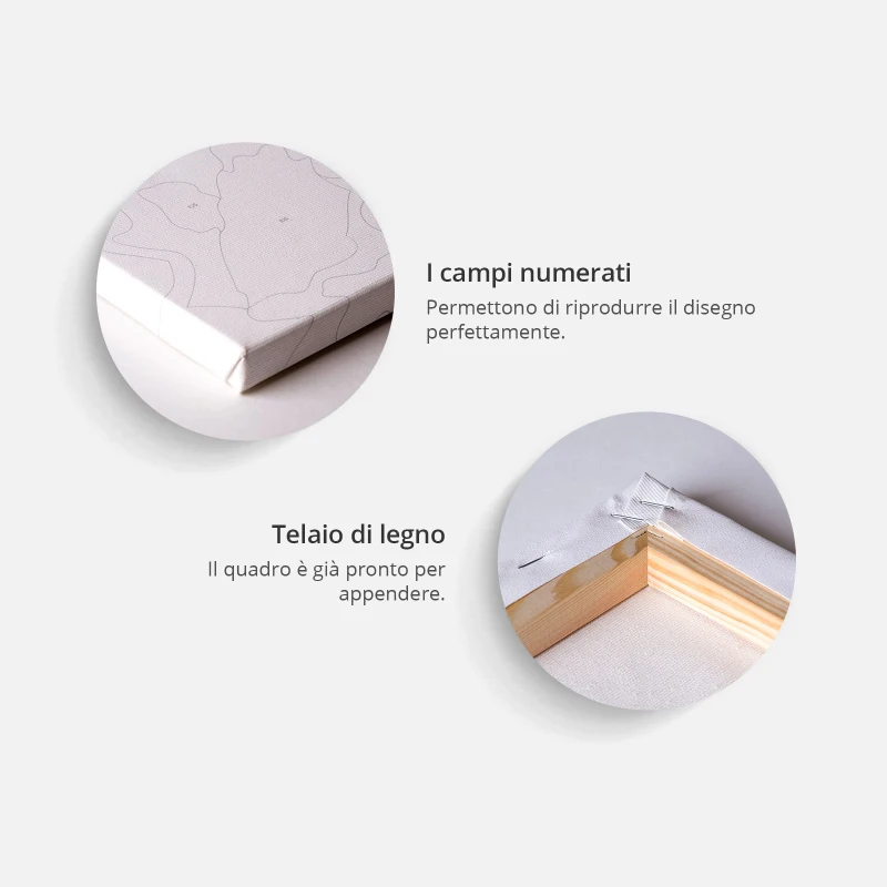 Quadro fai da te - Mappamondo (colorato), 60x40