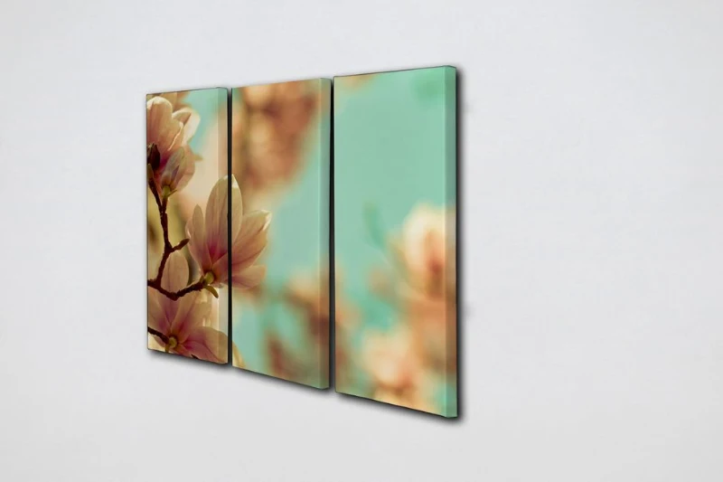 Homemania Quadro Da Parete 3 Pannelli Canvas Art Magnolia W69xD2xH50 cm