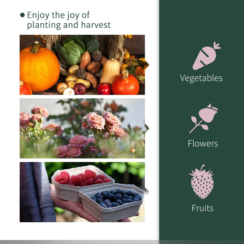 Outsunny Tunnel Greenhouse Green Grow House for Garden Outdoor, Steel Frame, PVC Cover, Transparent, 250 x 100 x 80cm