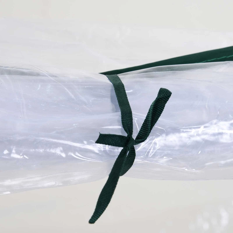 Outsunny Tunnel Greenhouse Green Grow House for Garden Outdoor, Steel Frame, PVC Cover, Transparent, 250 x 100 x 80cm