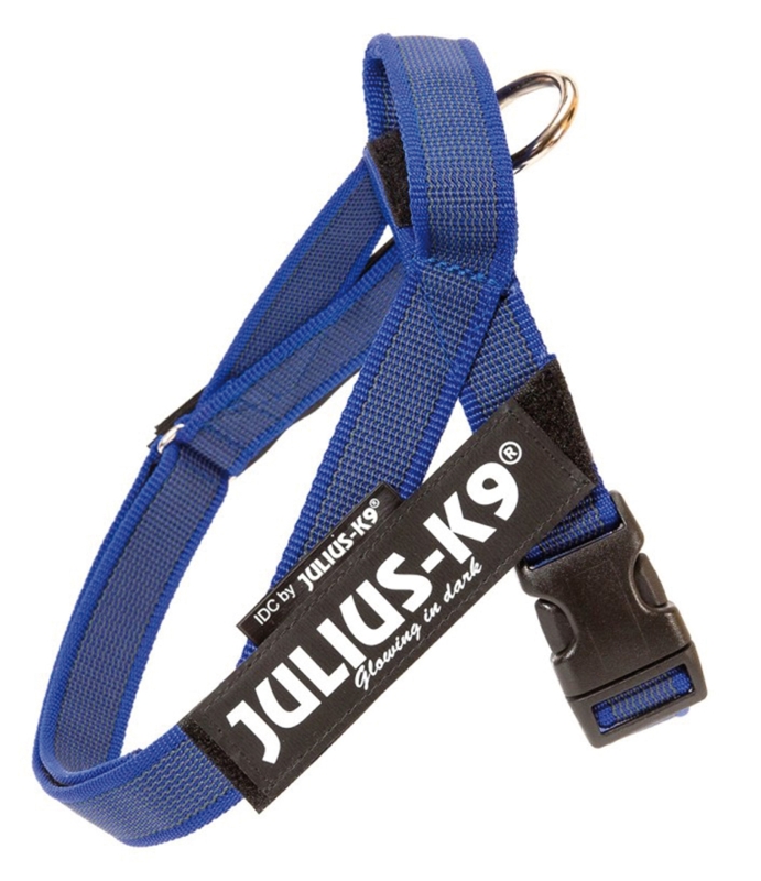 Julius K9 Pettorina Nylon Fluo, Misura 3, Colore Blu
