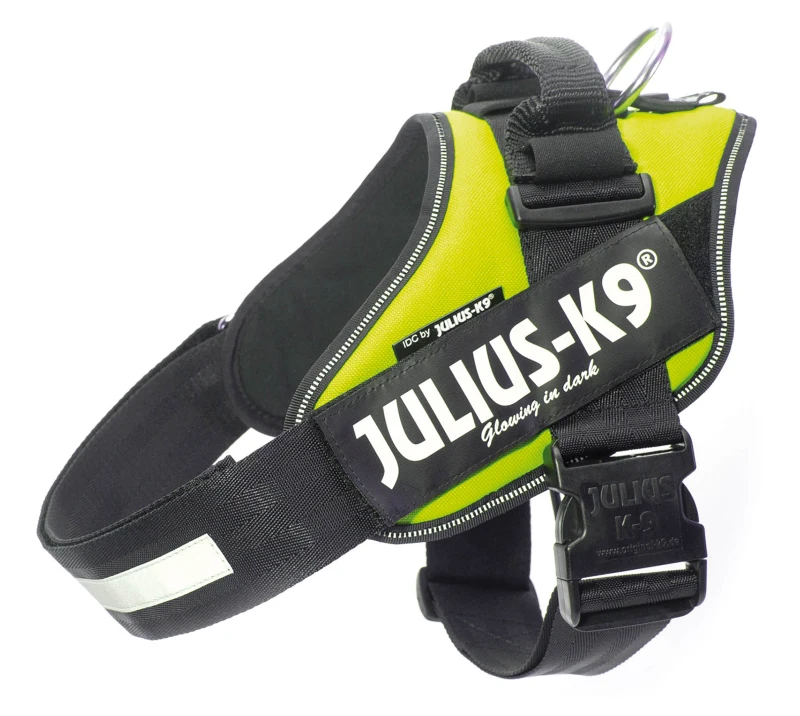 Julius K9 Power Pettorina, Misura 3, Colore Giallo