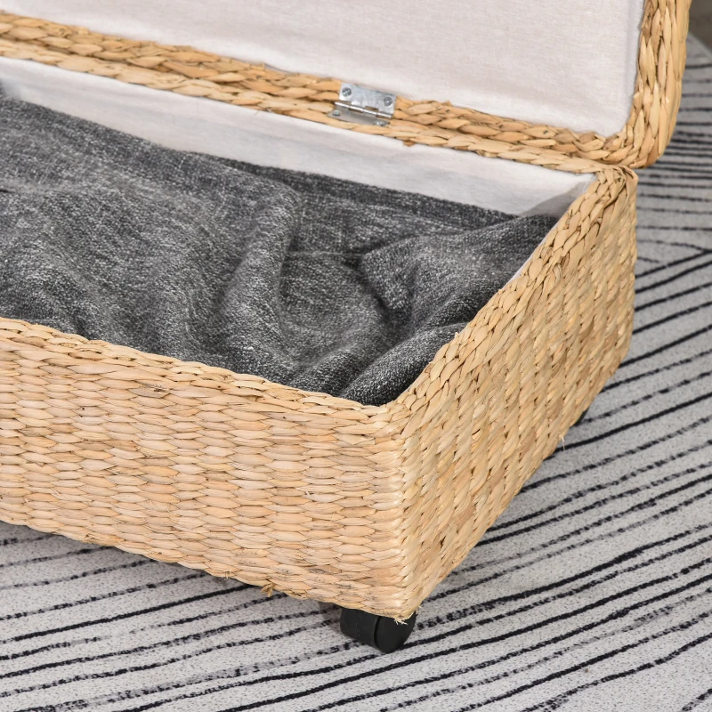 HOMCOM Coffre Boîte de Rangement avec Couvercle Design Simple et Moderne Idéal pour Salon Chambre Stockage Chaussures Vêtements Jouets pour Enfants 76 x 40 x 24 cm