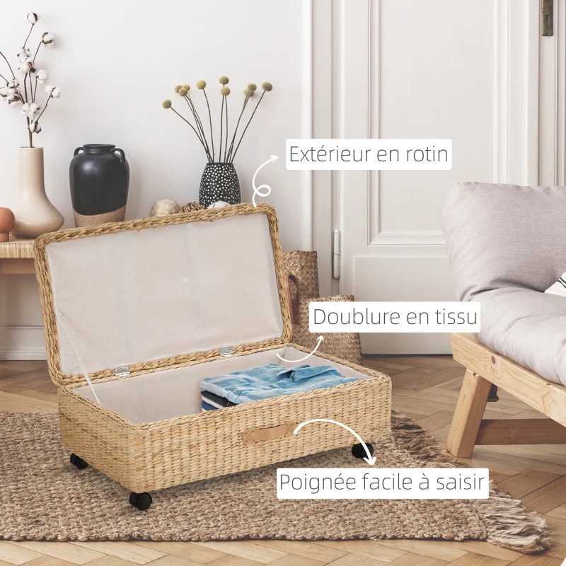 HOMCOM Coffre Boîte de Rangement avec Couvercle Design Simple et Moderne Idéal pour Salon Chambre Stockage Chaussures Vêtements Jouets pour Enfants 76 x 40 x 24 cm