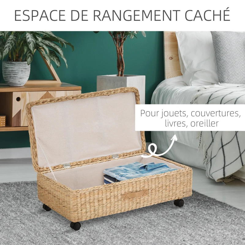 HOMCOM Coffre Boîte de Rangement avec Couvercle Design Simple et Moderne Idéal pour Salon Chambre Stockage Chaussures Vêtements Jouets pour Enfants 76 x 40 x 24 cm