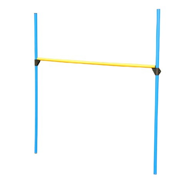 PawHut Set di Addestramento per Cani con Anello Recinto Pali Giochi