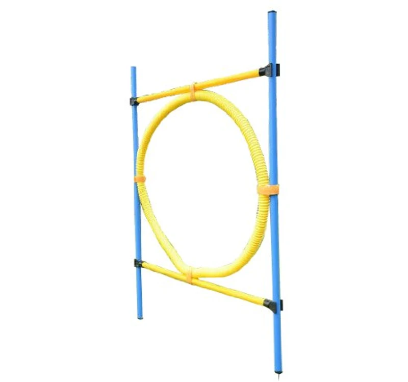 PawHut Set di Addestramento per Cani con Anello Recinto Pali Giochi