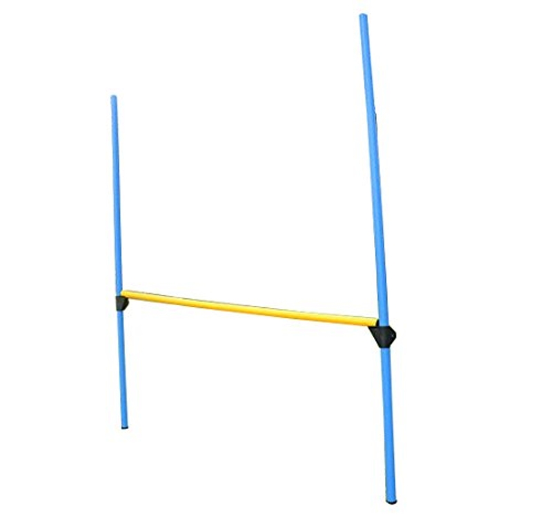 PawHut Set di Addestramento per Cani con Anello Recinto Pali Giochi