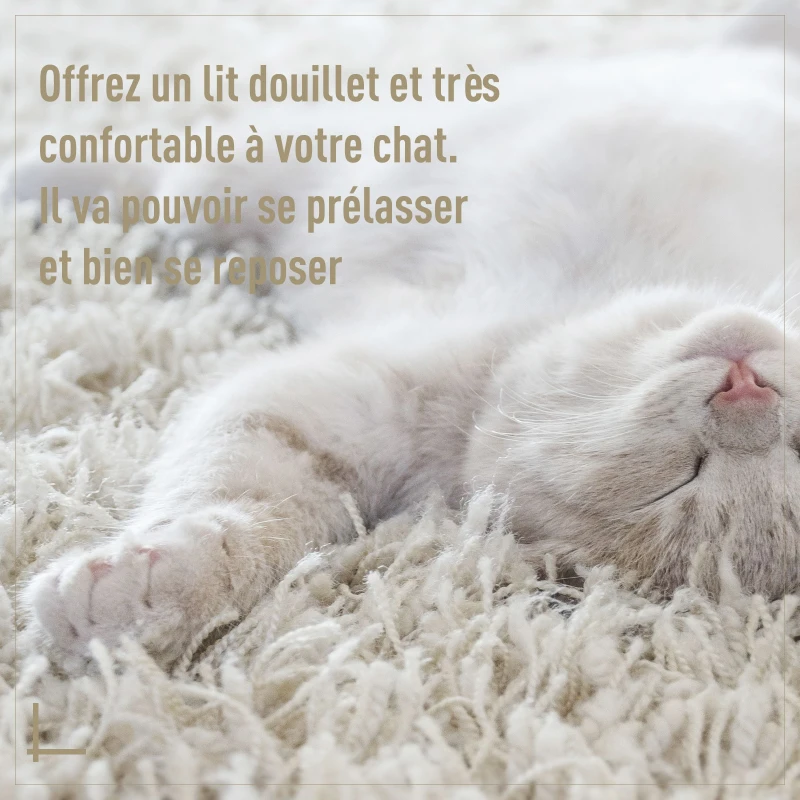 PawHut Panier chat lit chat cosy grand confort dim. Ø 56 x 35H cm coussin moelleux inclus PVC imitation rotin beige